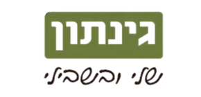 גינתון